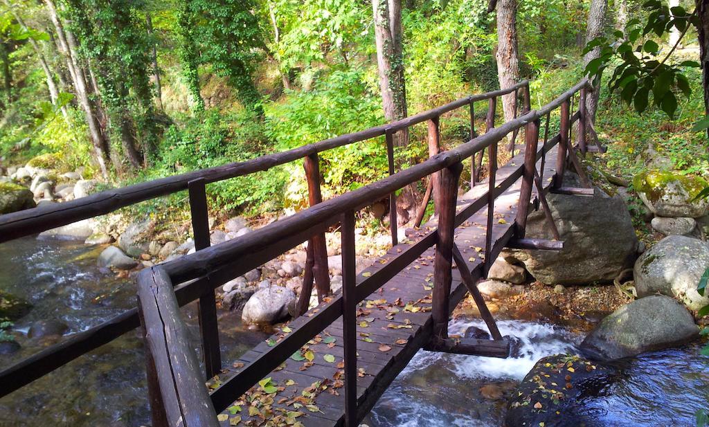 Albergue Turistico Valle Del Ambroz Hervás Εξωτερικό φωτογραφία